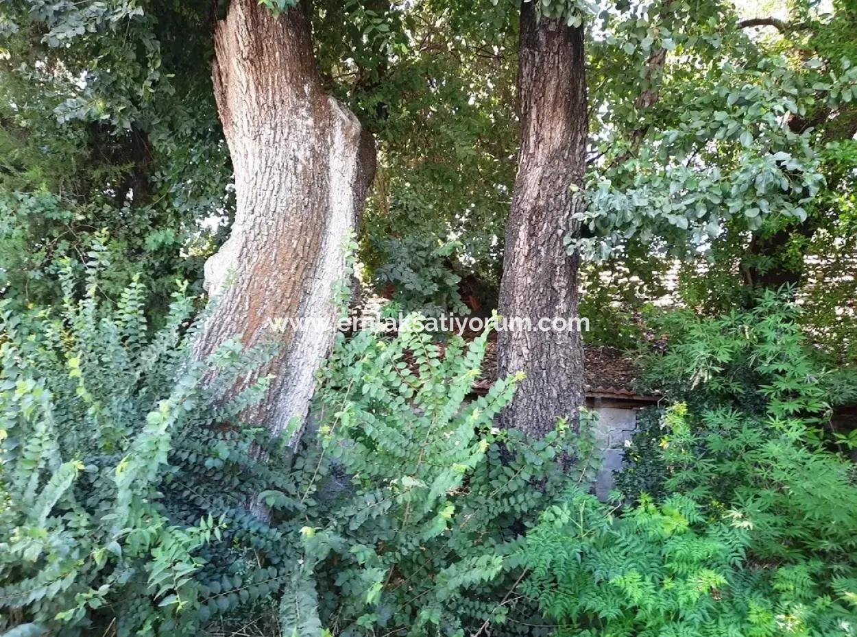 Ortaca Dalaklıda Ana Yola Sıfır Arsa Satılık