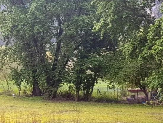 Muğla Ortaca Okçularda Dalyan Anayoluna Sıfır Yatırıma Uygun 3 577 M2 Arazi Satılık