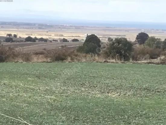 Çanakkale  Biga Koruobada Deniz Manzaralı Kelepir  9 715 M2 Müstakil Tapulu Verimli Arazi Satılık