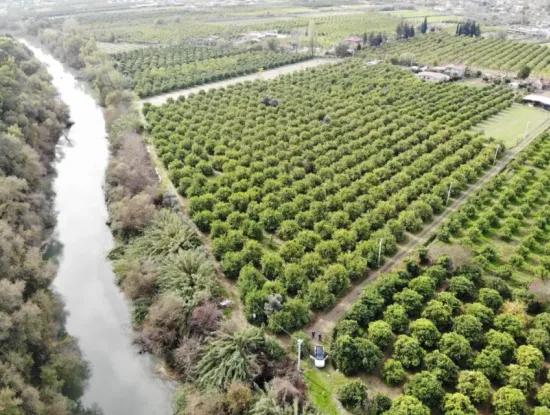 Muğla Ortaca Akıncı Da 18 Dönüm Tarla Satılık