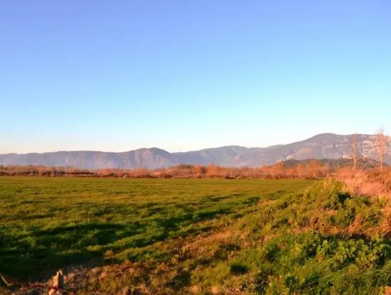 Ula Karaböğürtlende Acil Satılık Kelepir Arazi