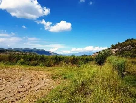 Muğla Ortaca Güzelyurt Ta Satılık Verimli Kelepir Arazi