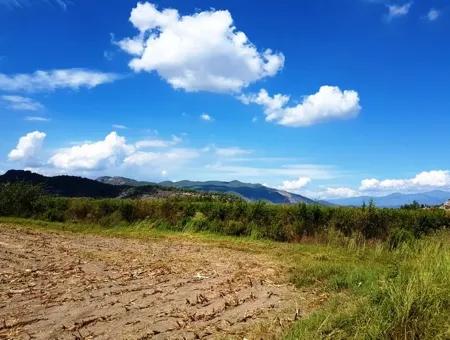 Muğla Ortaca Güzelyurt Ta Satılık Verimli Kelepir Arazi