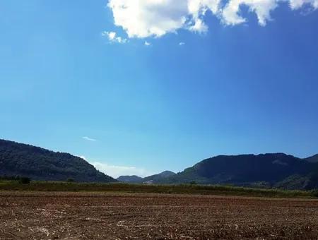 Muğla Ortaca Güzelyurt Ta Satılık Verimli Kelepir Arazi
