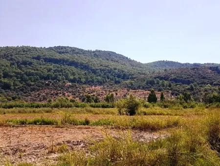 Muğla Ortaca Güzelyurt Ta Satılık Verimli Kelepir Arazi