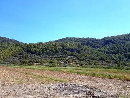 Muğla Ortaca Güzelyurt Ta Satılık Verimli Kelepir Arazi