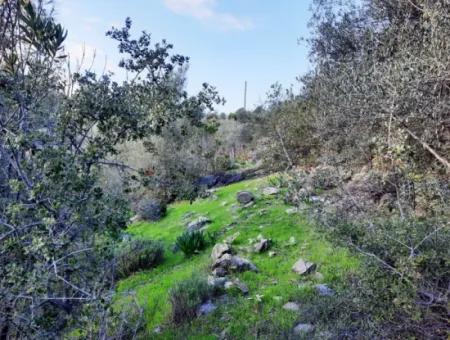 Muğla Dalyan Gökbelde 1700 M2 Doğa Manzaralı Müstakil Arazi Ve Bungalov