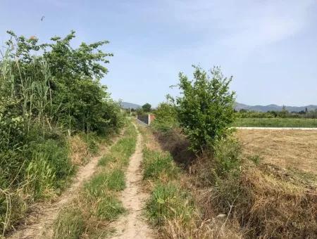 Ortaca Fevziye De 2000 M2 Kelepir Tarla Satılık