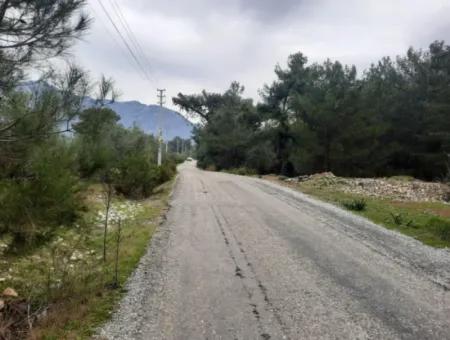 Köyceğiz Zeytinalanı Nda Göl Manzaralı 19 000 M2 Müstakil Arazi Satılık