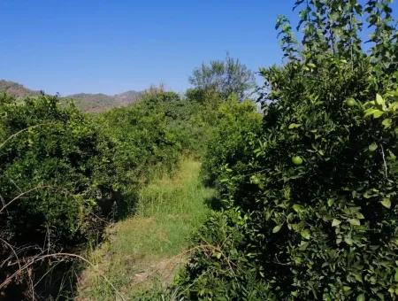 Ortacada Satılık Yola Sıfır Arsa
