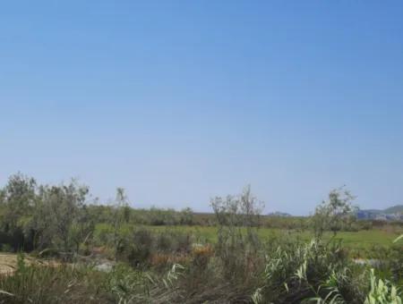 Muğla  Dalyanda 17,500 M2 Kanala Yakın Müstakil Kelepir Arazi Satılık