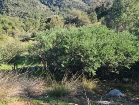 Muğla Fethiye İnlice Mahallesi Kertmeç Mevkiinde, Kısmen Deniz Manzaralı 15.000 M² Müstakil Tapulu Arazi Satılıktır.