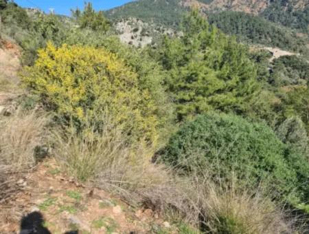 Muğla Fethiye İnlice Mahallesi Kertmeç Mevkiinde, Kısmen Deniz Manzaralı 15.000 M² Müstakil Tapulu Arazi Satılıktır.