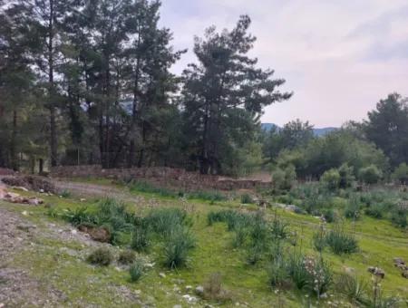Dalaman Gürköyde 3.500 M2 Deniz Manzaralı Müstakil Arazi Satılık
