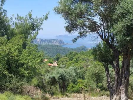 Muğla Ortaca Gökbel’de Göl Ve Deniz Manzaralı 1.000 M² Yatırımlık Arazi Satılık