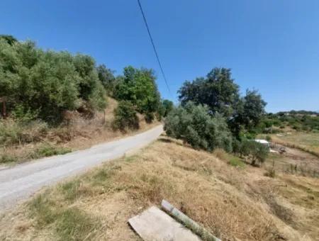 Ortaca Eskiköyde 2.500M2 Hazine Arazisinde Numaratajı Olan Bina İle Devren Satılık