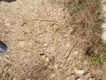 Ortaca Eskiköyde 2.500M2 Hazine Arazisinde Numaratajı Olan Bina İle Devren Satılık