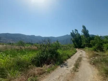 Muğla Dalyan’da 5.200 M² Kiralık Limon Ve Portakal Bahçesi