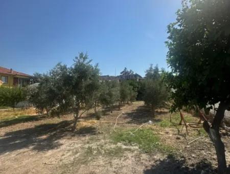 Ortaca Ekşiliyurt Da 538 M2 Arsa Satılık