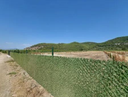 Ortaca Güzelyurt’ta Satılık Kooperatif Hisseleri – 270 M²