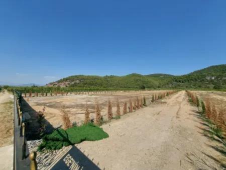 Ortaca Güzelyurt’ta Satılık Kooperatif Hisseleri – 270 M²