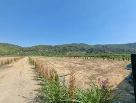 Ortaca Güzelyurt’ta Satılık Kooperatif Hisseleri – 270 M²