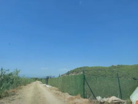 Ortaca Güzelyurt’ta Satılık Kooperatif Hisseleri – 270 M²