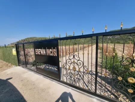 Ortaca Güzelyurt’ta Satılık Kooperatif Hisseleri – 270 M²