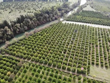 Muğla Ortaca Akıncı Da 18 Dönüm Tarla Satılık