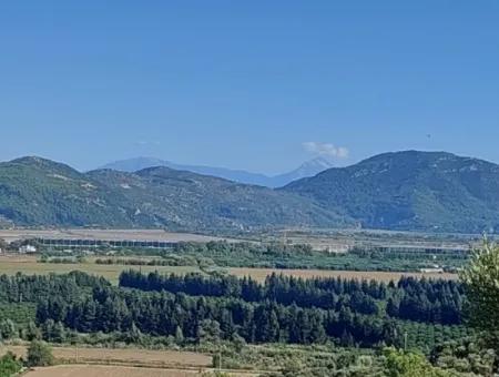 Ortaca Fevziyede Deniz Ve Doğa Manzaralı  Kelepir Müstakil Zeytinlik Satılık