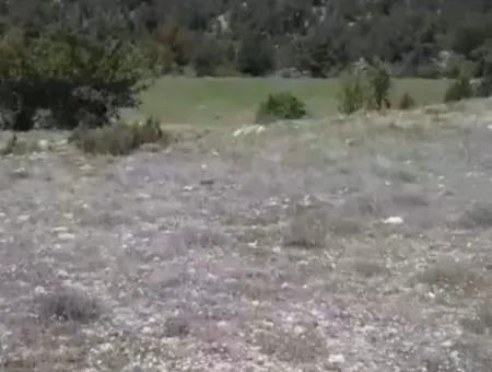 Çameli Ayvacık Ta 1770 M2 Tarla Satılık