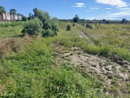 Ortaca Fevziyede 500 M2 2 Parsel Arsa Satılık