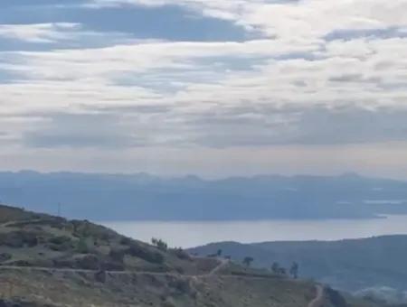 Mugla Menteşe Zeytinköy De 200 M2 Konut İmarlı  406 M2  Arsa Satılık
