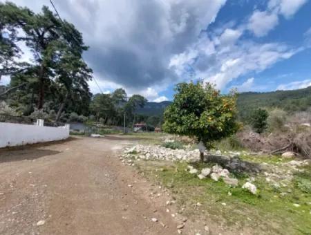 Muğla Köyceğiz Çandır Merkezde 1 000 M2 Arazi Satılık