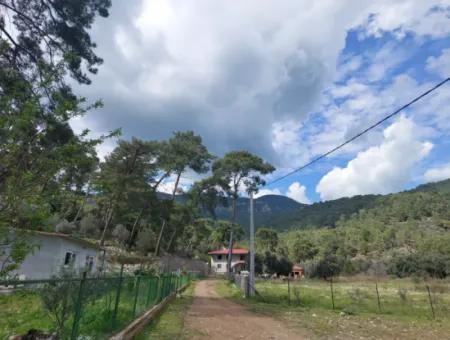 Muğla Köyceğiz Çandır Merkezde 1 000 M2 Arazi Satılık
