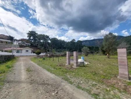 Muğla Köyceğiz Çandır Merkezde 1 000 M2 Arazi Satılık