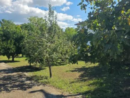 Ortaca Akıncı Sarıgerme Yoluna Sıfır 902 M2 Arsada 2+1, 70 M2 Köy Evi Satılık