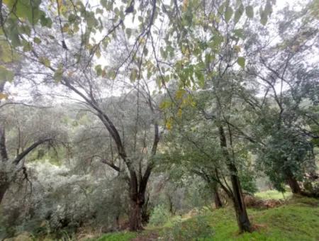 Muğla Fethiye İnlice’de Doğa İçinde Satılık Tapulu Köy Evi