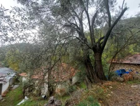 Muğla Fethiye İnlice’de Doğa İçinde Satılık Tapulu Köy Evi