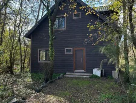 Ortaca Yeşilyurt Da 12 000 M2 Tarla Satılık