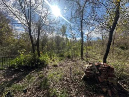 Ortaca Yeşilyurt Da 12 000 M2 Tarla Satılık