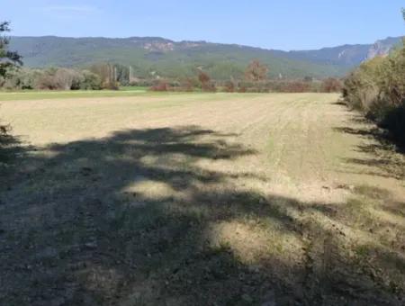 Muğla Ula Karabörtlende Kelepir 6 000 M2 Arazi Satılık