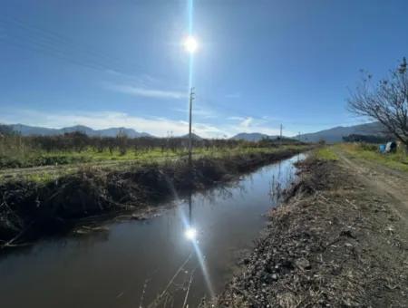 Dalyana Yakın Konumda, Köyceğiz Gölüne Yakın Satılık Tarla