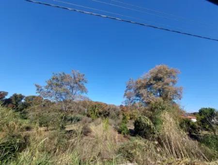 Muğla Dalyan Da Yatırıma Uygun Kelepir  Orman A Sıfır 4 000 M2 Arazi Satılık