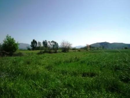 Ortaca Akıncıda 30 000 M2 Verimli Arazi Satılık